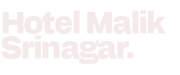 digital branding solutions