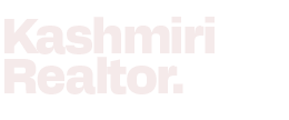 data science and AI solutions